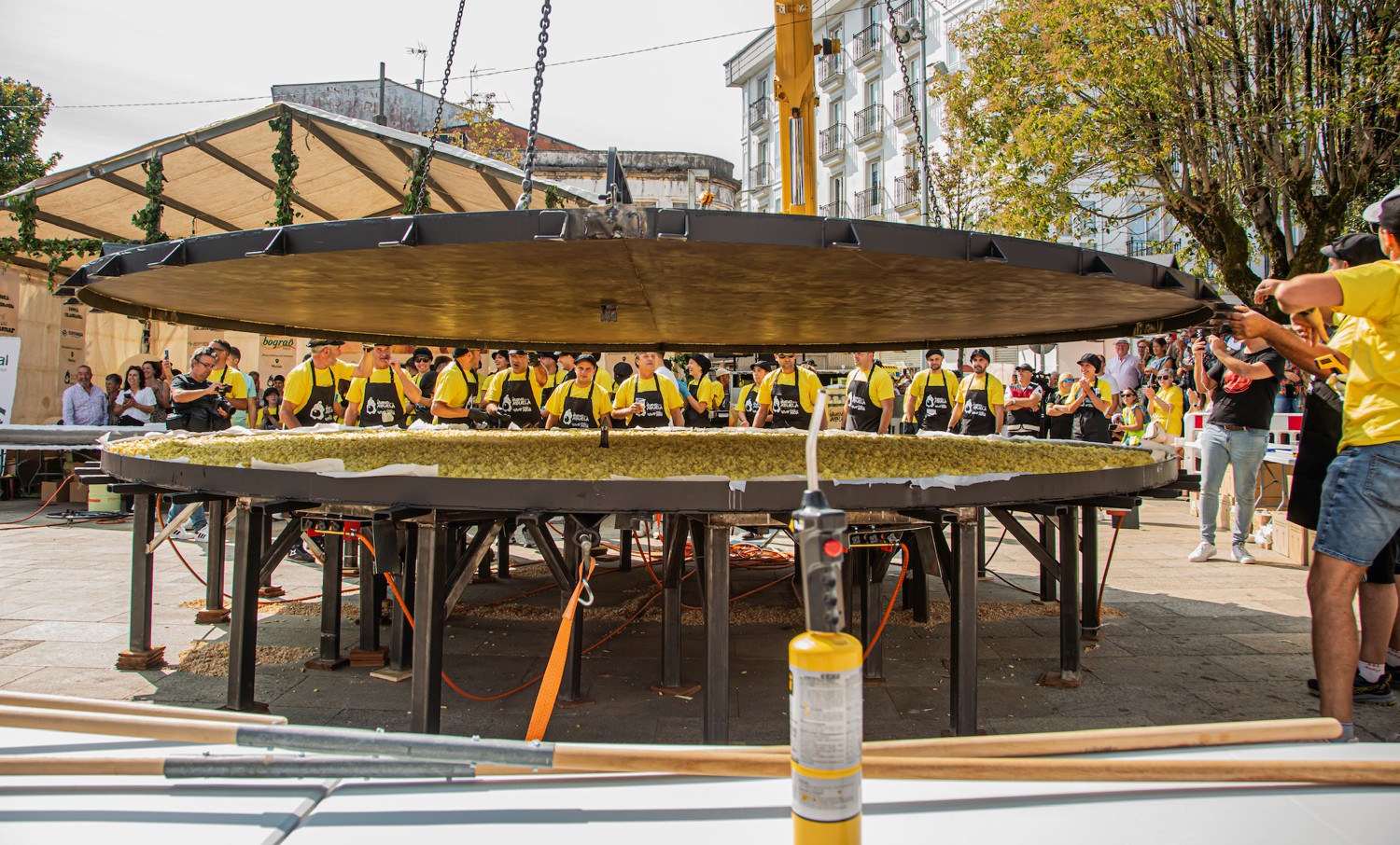 IMG_1651.jpg IMG_1651.jpg