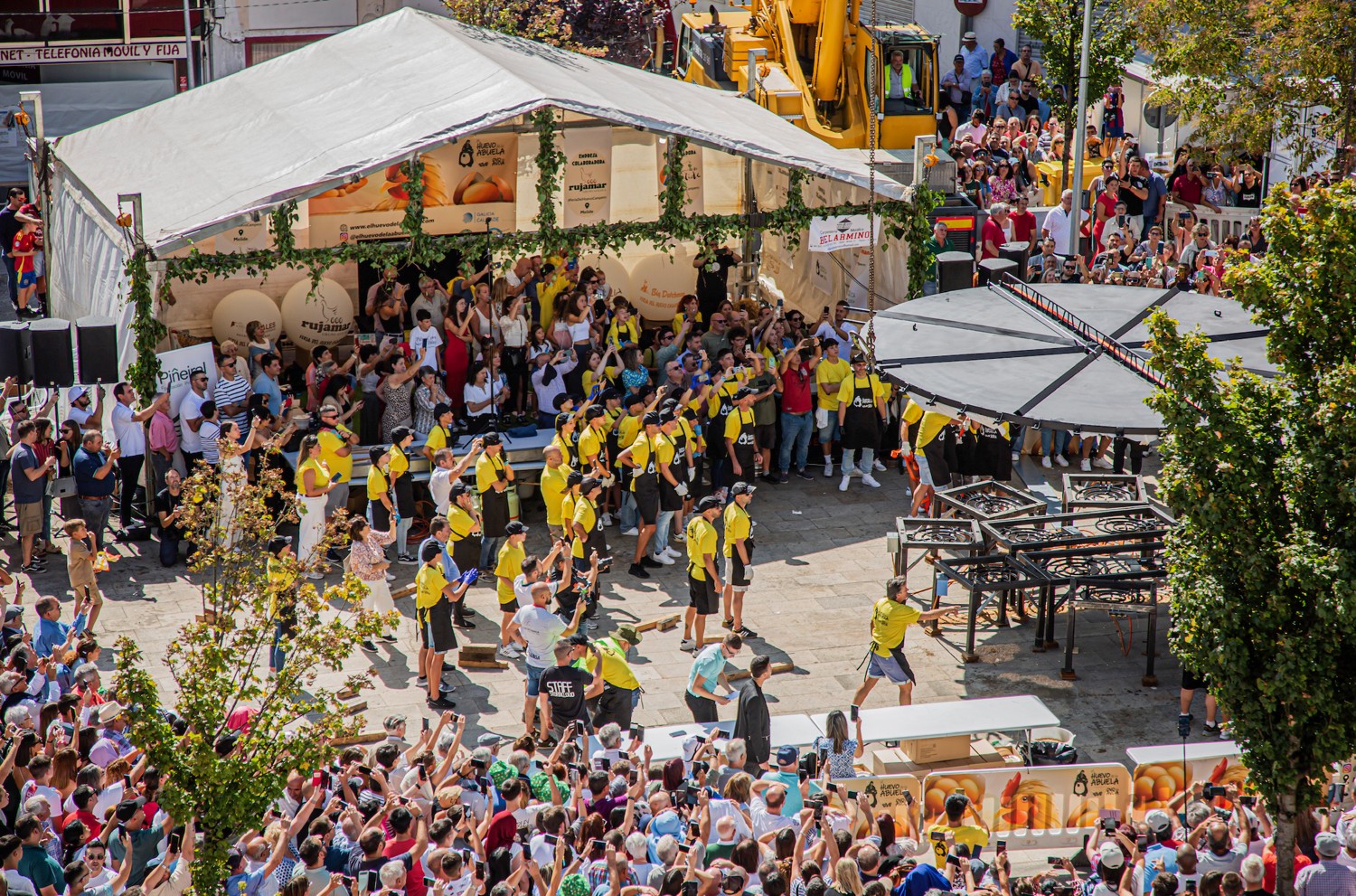 IMG_1649.jpg IMG_1649.jpg