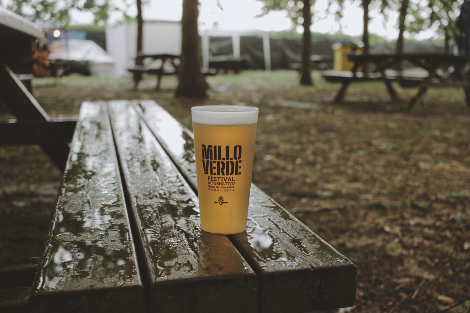 39DB726B-B61D-4C30-9FD0-9D896B33C006.jpg 39DB726B-B61D-4C30-9FD0-9D896B33C006.jpg