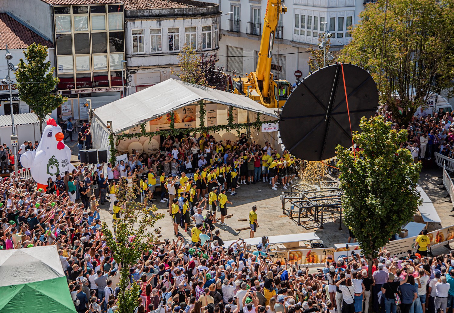 IMG_1658.jpg IMG_1658.jpg