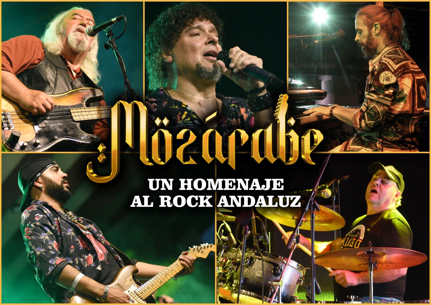 IMG-20250125-WA0028.jpg IMG-20250125-WA0028.jpg