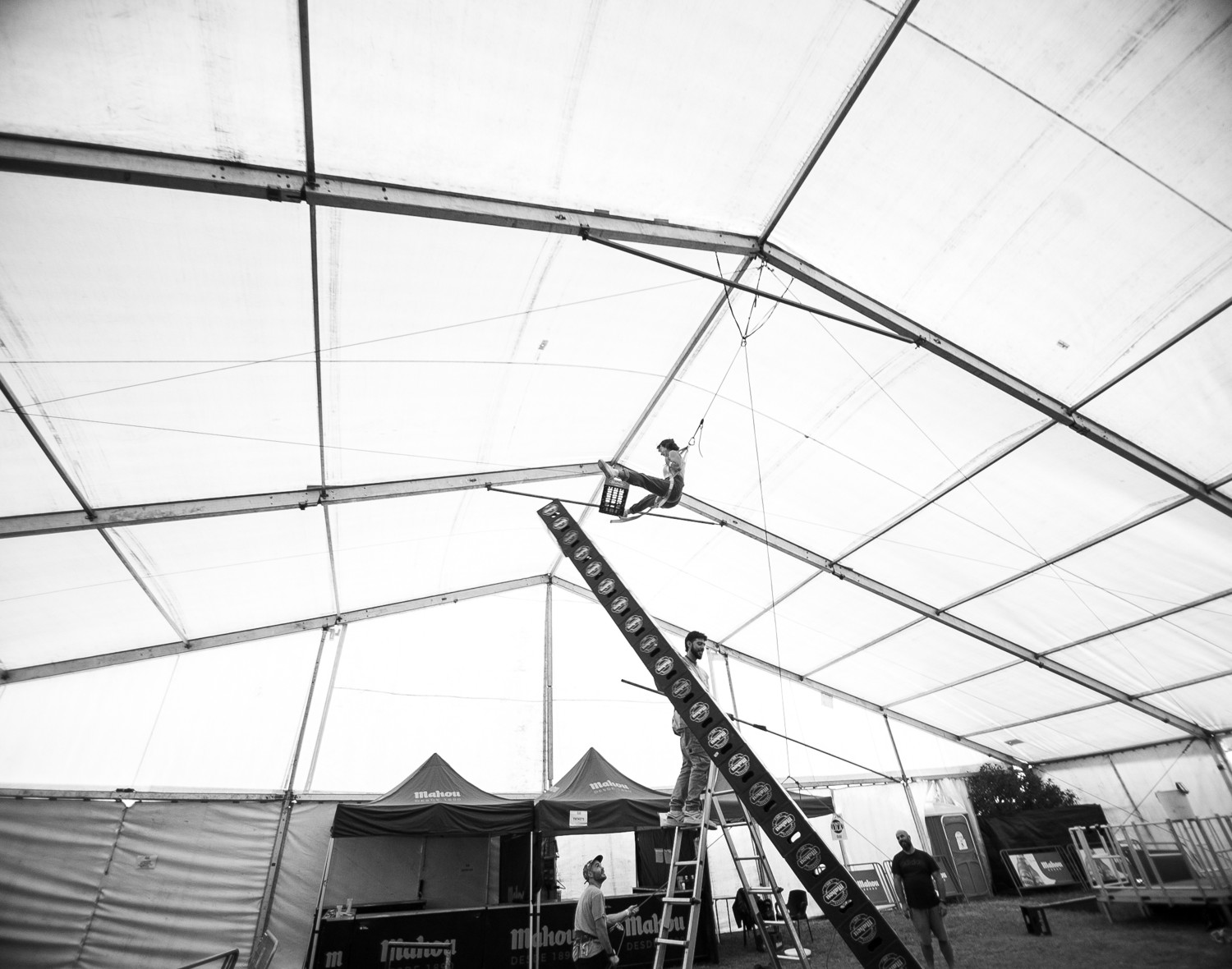 QUINTA.jpg QUINTA.jpg